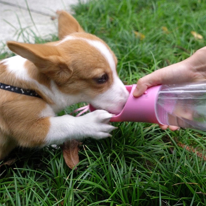 Dog Water Bottle Portable Pet Water Bottle