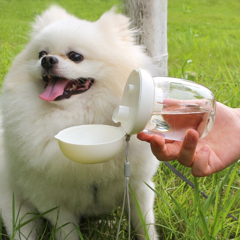 Portable Dog Water Bottle Go Out Dog Walking