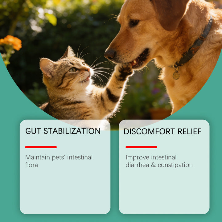 PawBuddy™ Advanced Pet Teeth Cleaning & Immune Support Powder