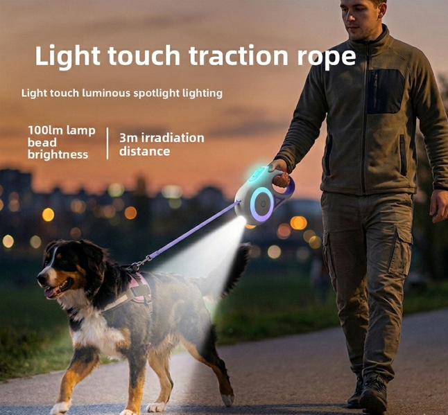 LED Dog Light Leash